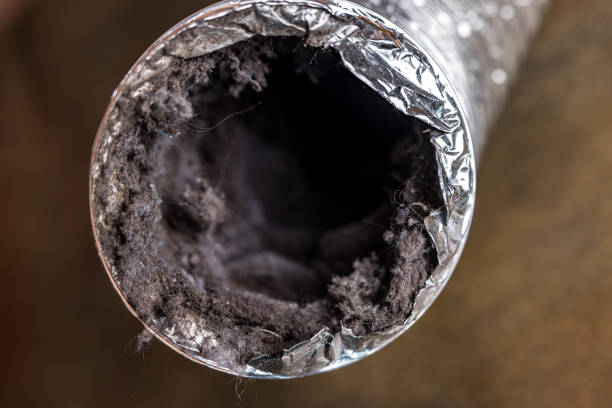 Best Home Air Vent Cleaning  in Rock Creek, MN
